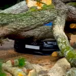 A large tree has fallen on an Audi car, severely damaging it on a city street in the UK.